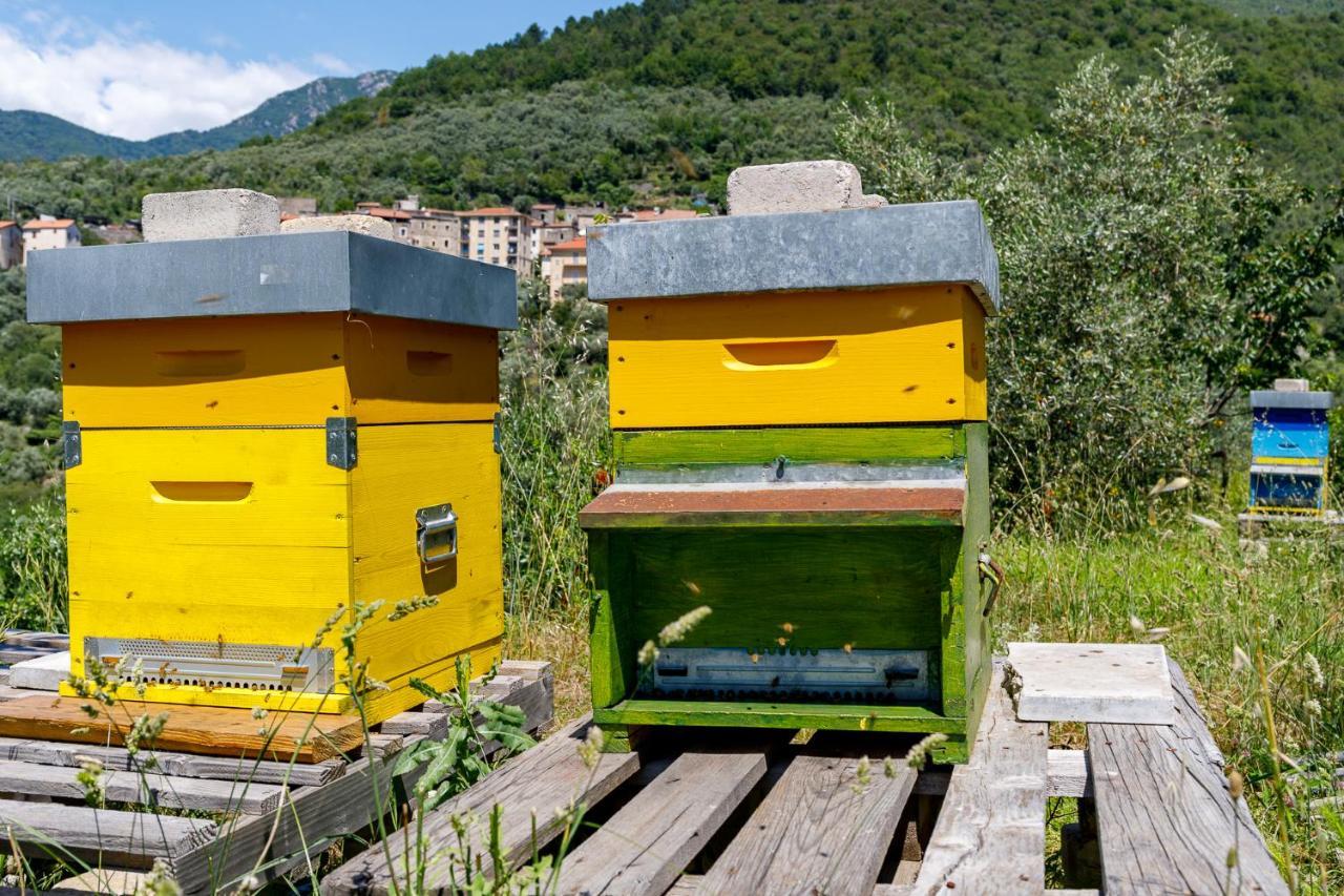 Arve Castelbianco - B&B E Appartamento Colletta 外观 照片