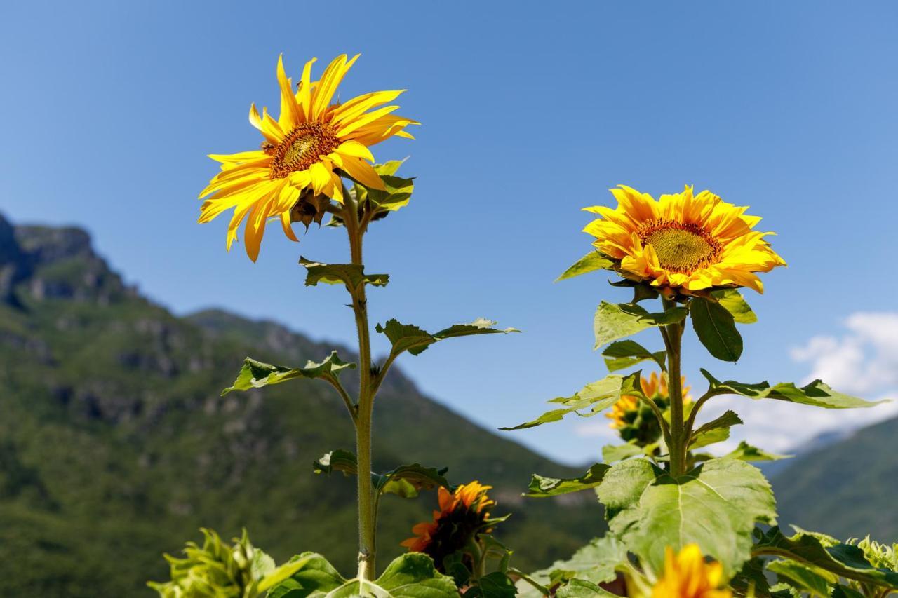 Arve Castelbianco - B&B E Appartamento Colletta 外观 照片